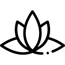 Features of Karachivipspa 2